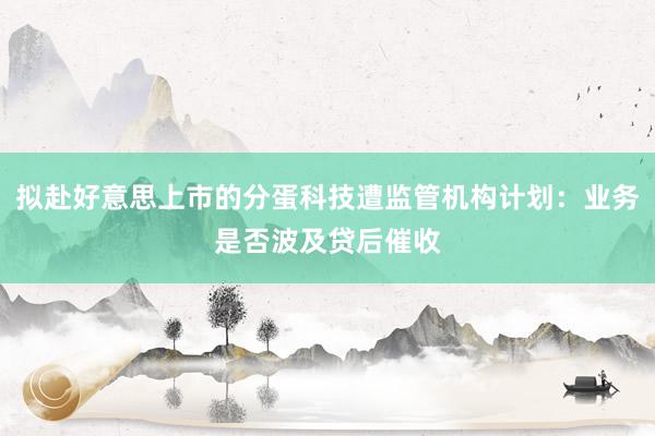 拟赴好意思上市的分蛋科技遭监管机构计划：业务是否波及贷后催收