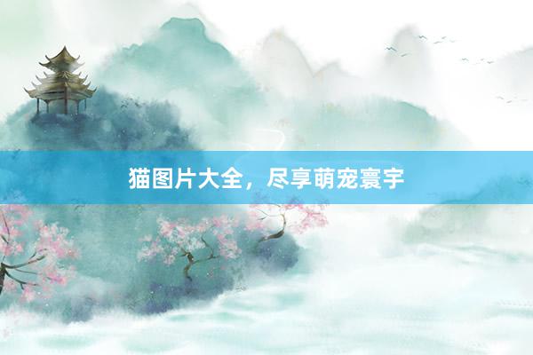 猫图片大全，尽享萌宠寰宇